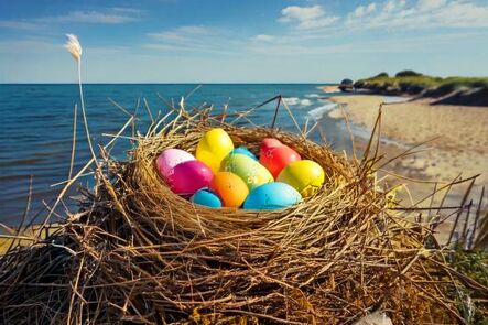 Ostern in Sellin mit täglich 3 Stunden kostenfreiem Badevergnügen in der AHOI-Badelandschaft & 5% Rabatt auf die Übernachtungen!